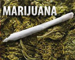 pass marijuana urine drug test